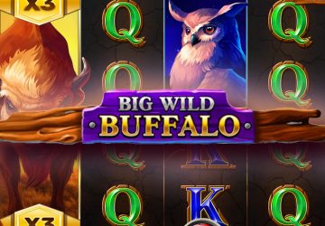 Автомат Big Wild Buffalo в Vulkan Stars казино